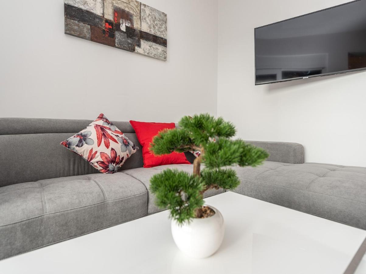 Contessa Holiday home *